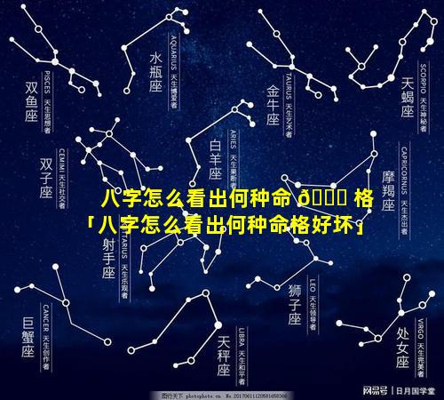 八字怎么看出何种命 🐎 格「八字怎么看出何种命格好坏」